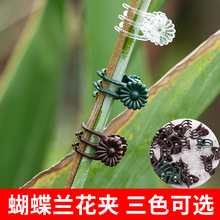 �̶������֧�ΗUֲ�������F�z�����m�m���A��֧�܈@ˇ������