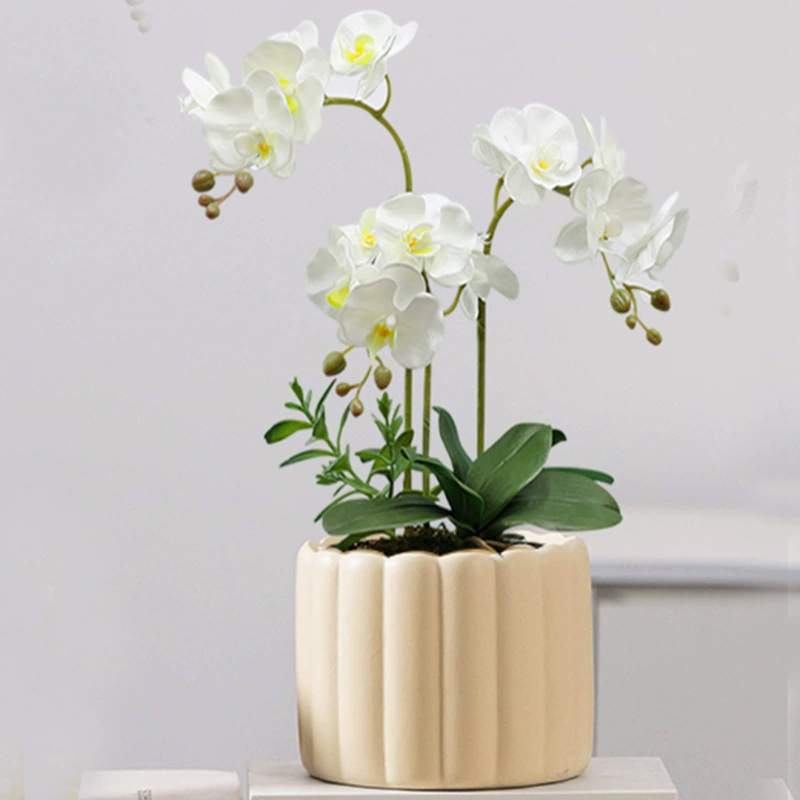 Скандинавский стиль, горшок для орхидеи-бабочки, домашний балконный горшок для зеленых растений, кремовый стиль, бежевый, доступный роскошный горшок для бонсай