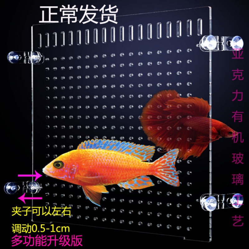 鱼缸隔板亚克力鱼苗隔网板过滤板底滤板水族用品打孔切割厂批发