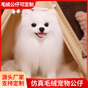 �P�غ�ِ�������沩��Ȯ������ż����ë�q�����Ů�����Y��