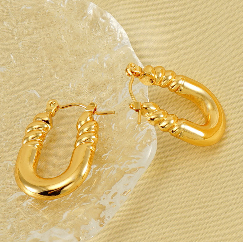 Daily Occasion 1 Pair Simple Style Geometric 304 Stainless Steel 18K Gold Plated Hoop Earrings Ear Studs