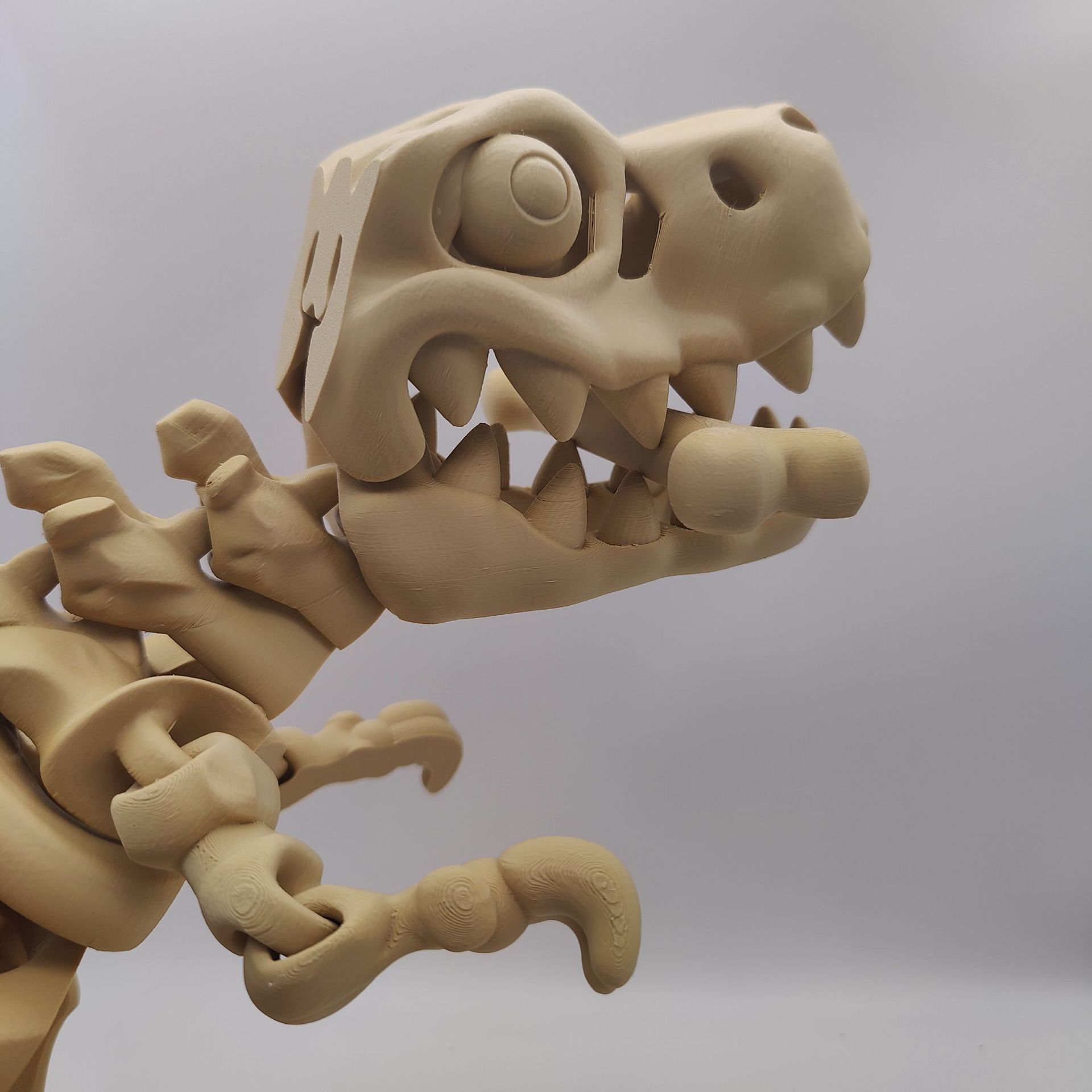 微信图片_20250313231300