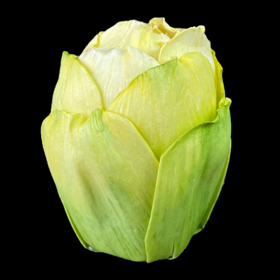 6cm绿色翡翠白菜