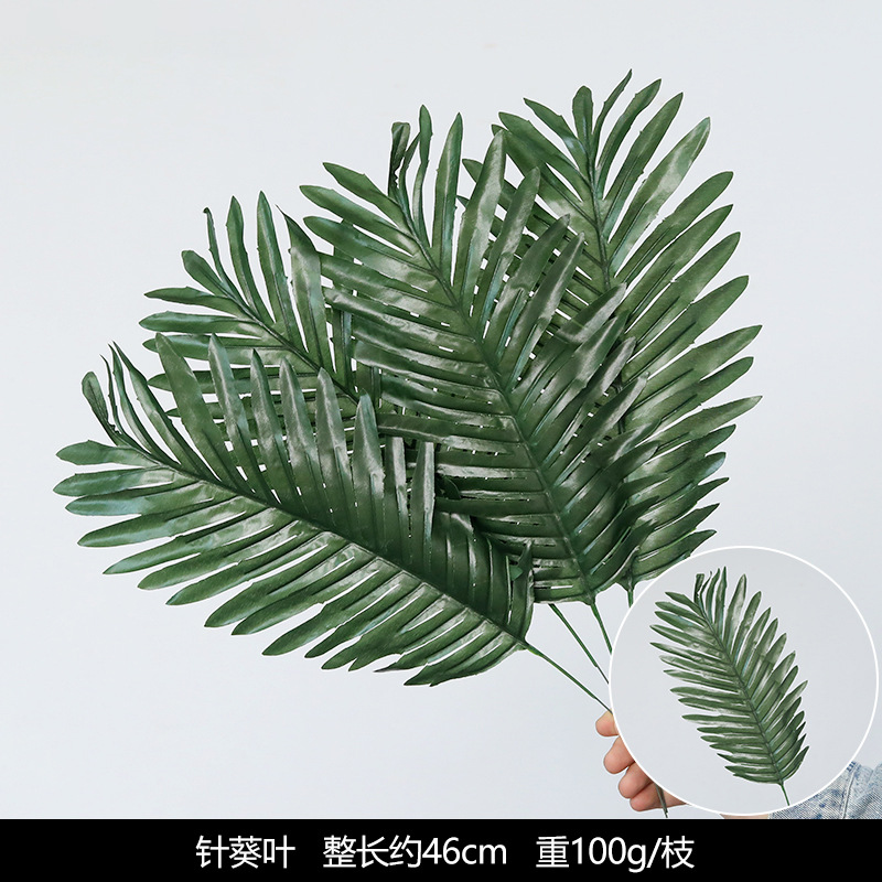 Sunflower leaf