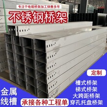 金属线槽304不锈钢电缆桥架200 150 100 50 钢制铁槽盒防火桥架