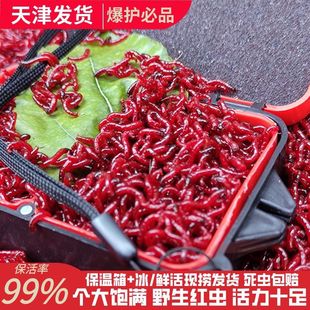 �r��t�x���D�ش�̖�t�x���lι�~�D���D�a�~Ұ��D����~����~�D