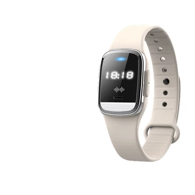 Static Rod/Key Bag – Smart Anti-Static Wristband, Static Electricity Eliminator