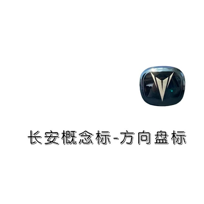 modification of car emblems — Car logo - steering-wheel-emblem-single-piece-concept-emblem-note-the-year-and-model