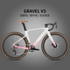 特オフロード道路車riv etap AXS-12速電子変速全油ディスクブレーキ全隠しレース
