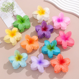 Cross-border Hot Sale 8cm Egg Flower Bauhinia Women's Large Grab Hair Clip Hair Accessories Internet Celebrant Shark Clip