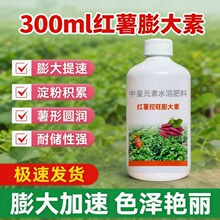 红薯控旺膨大素增产控上促下预防畸形防裂果高产红薯专用肥营养液