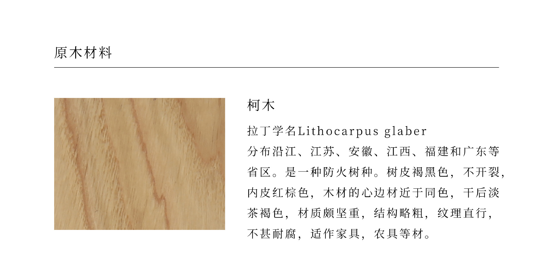 8 木材介绍-柯木.jpg