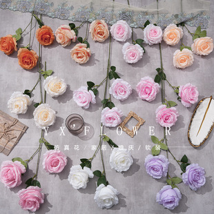 3�^����õ�����˹��ٻ����������컨��c�Y�ø߼��͏d�b[��