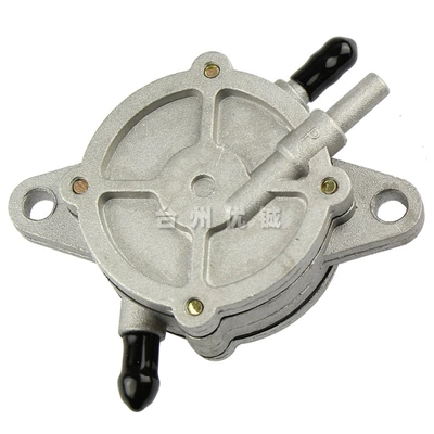 Pump Scooter Self-Priming Water Pump: Motorcycle engine and accessories