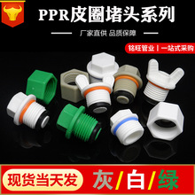 ppr4����z���^20 25 6�ֽz��PPR�������Ϲܶ¹�ñˮ�������ƤȦ