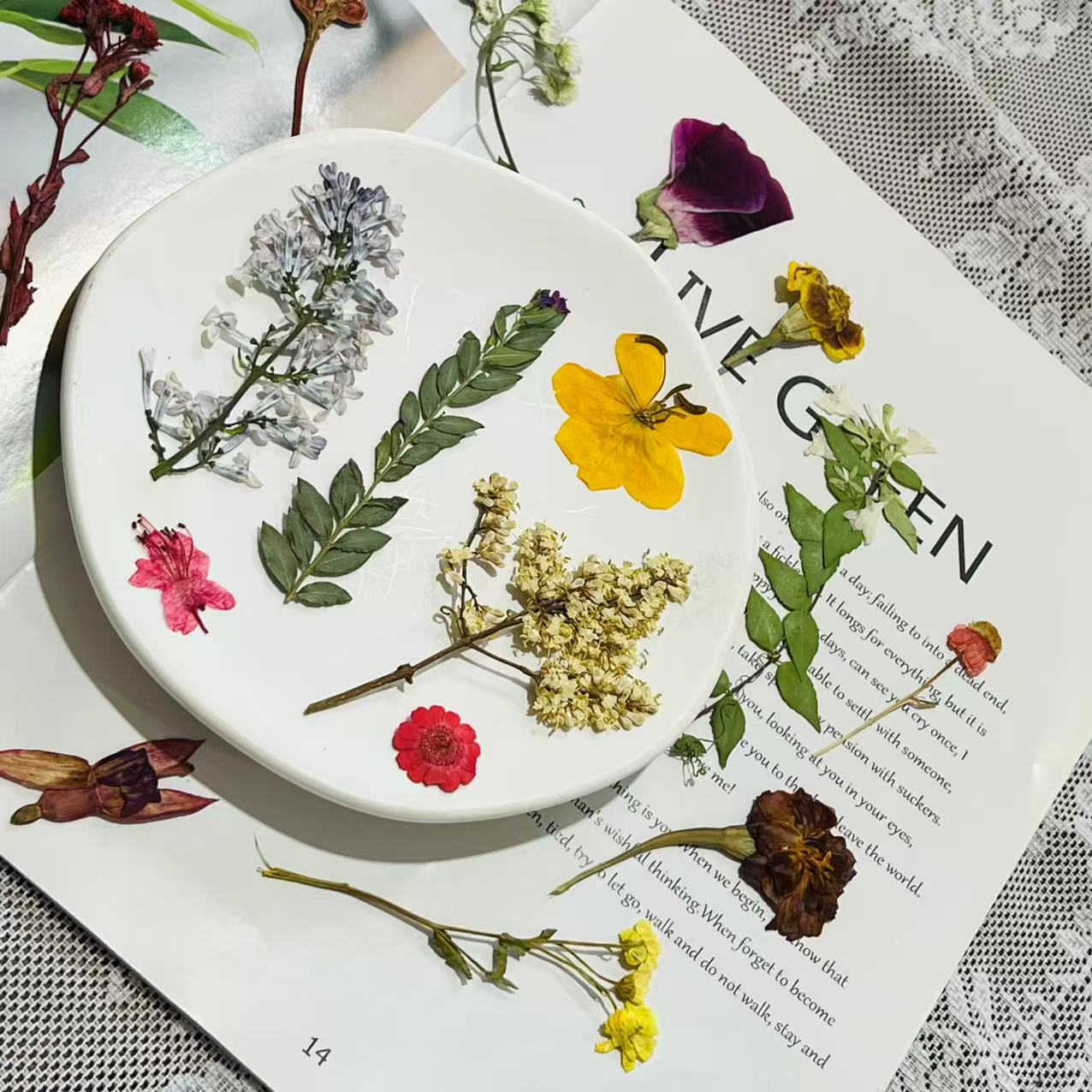 丁香花干花压花真花古代稀押花灯笼花DIY材料包植物标本永生花
