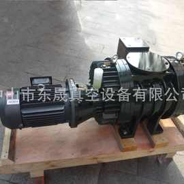 广东深圳罗茨真空泵 高真空罗茨泵机组 双级增压泵 三级真空系统