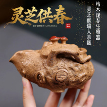 ���d��ɰ��ԭ�V�����`֥������ץ��ؼ��ù���������һ�����l