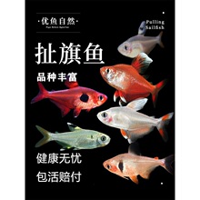 �t������õ�島����~�Ꭷ�^�p���w�~С�Ͳݸ�Ⱥ���~��β���~