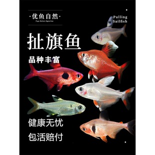 �t������õ�島����~�Ꭷ�^�p���w�~С�Ͳݸ�Ⱥ���~��β���~