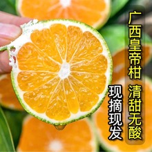 正宗廣西皇帝柑水果桔子新鮮當季貢柑橘子薄皮柑桔甜批發