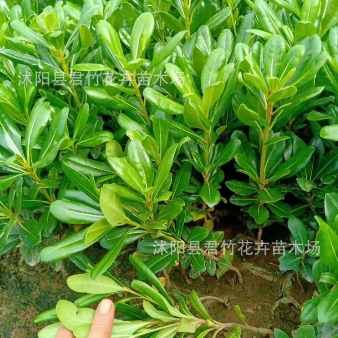 微信图片_20230828140106