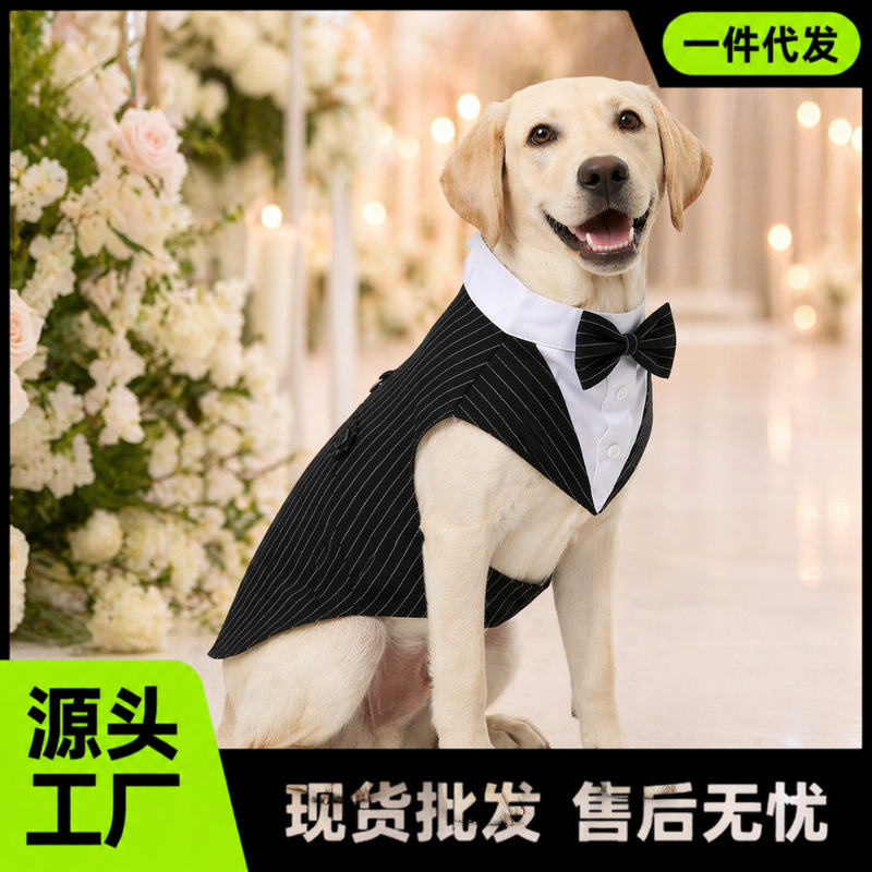 Cross-Border Exclusive Supply of Pet Wedding Attire: Striped Suit with Bow Tie for Medium and Large Dogs, Gentleman Wedding Attire