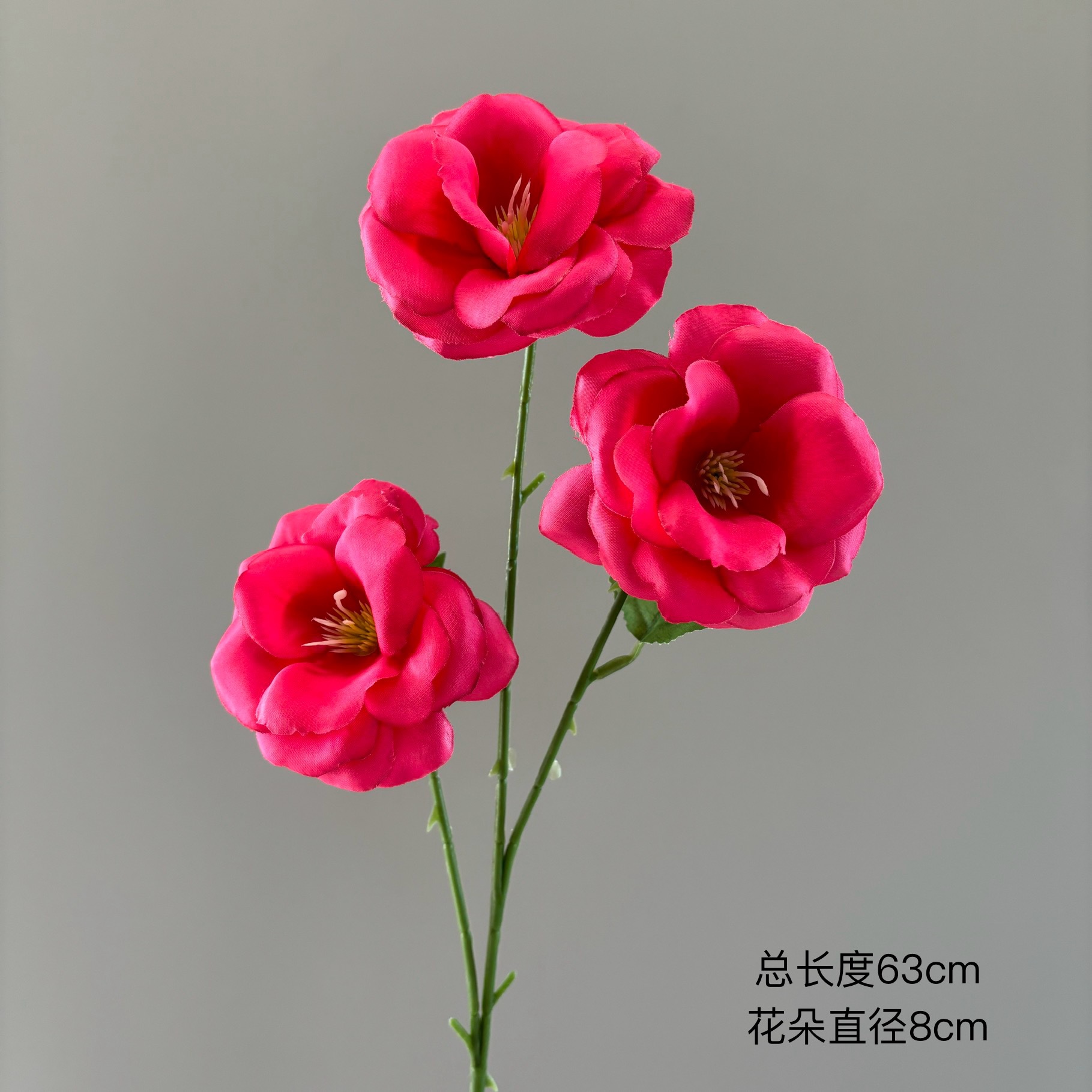 신선한 장미 3송이