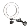 Fill light, 6 inches
