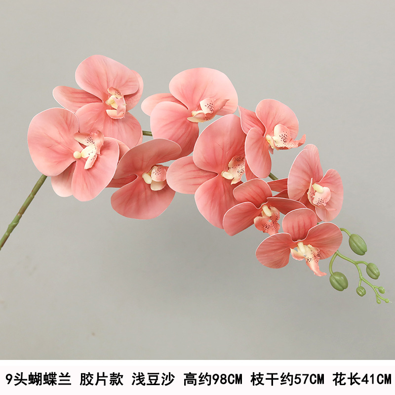 9-head film waterproof phalaenopsis light bean paste "thickened"