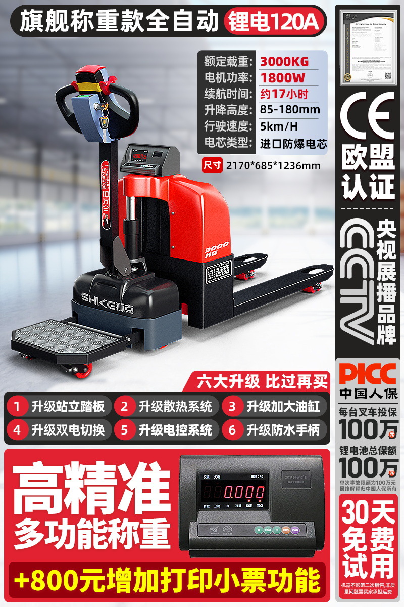 추가 페달 [플래그십 스케일 모델] 완전 자동/리튬 배터리 120a