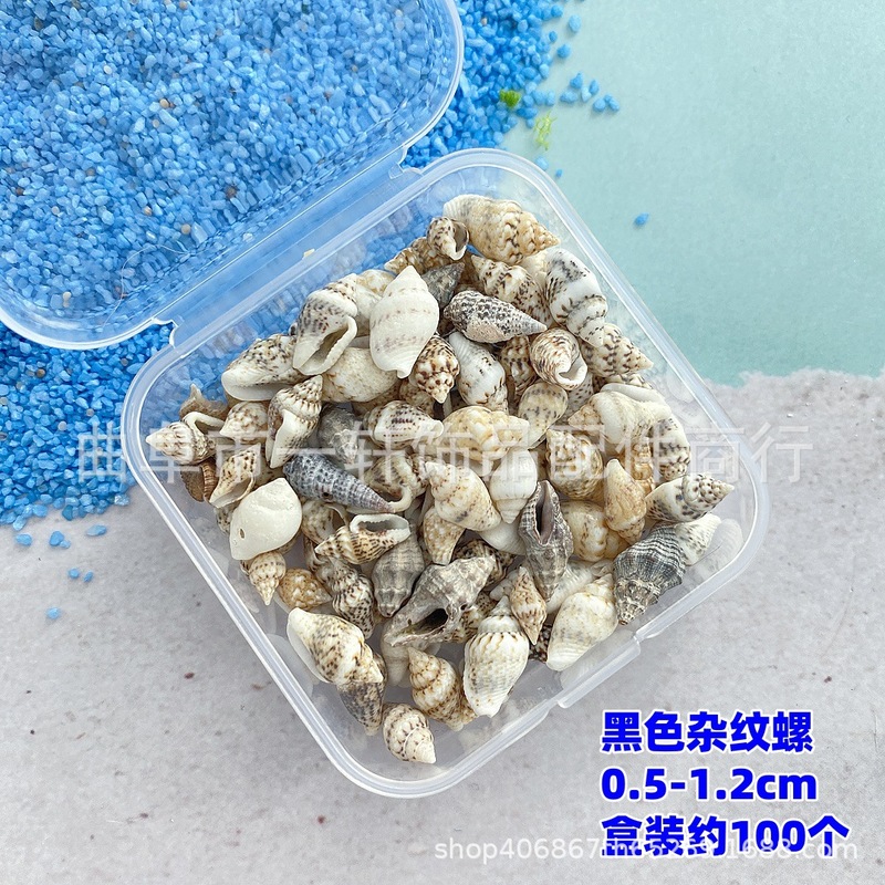 天然小さな巻貝箱入り小さなヒトデ小さな貝殻ミニ diy マイクロ風景材料装飾ミニ貝殻箱入り|undefined
