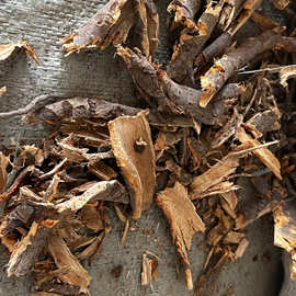 免费拿样苹果树根皮原料 苹果树根中药材 苹果树根皮粉中药材粉