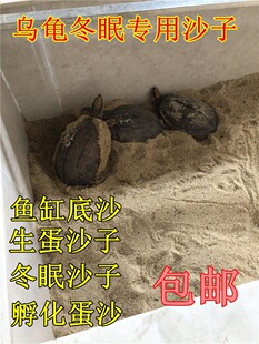 ����ɳ�Ӷ��߼�ɳ�����������x�|�ĺ�ɳ�~�׵�ɳ��ɳ�쾰�b�