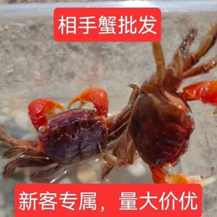 ����з����С�з���w�����~���^�pзԭ����ˮз�[�����l����з