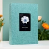 Green chrysanthemum