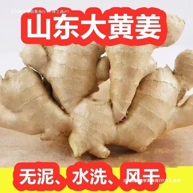 山东大黄姜新鲜蔬菜水洗风干生姜家用饭店食堂理疗包邮批发零售】|undefined