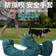 �����ץҧ����Ӗ��Ȯҧ�Ӻ��LţƤץ���R���{��؈��ϴ����o��ҧ