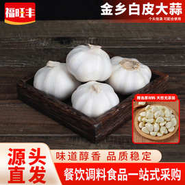 金乡白皮大蒜新鲜现挖大蒜头个大均匀无硫熏无发芽农户直销批发价