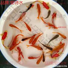 ������ݽ��~���w���~���~��ˮ�^�p�~�J���~���~�~ʳС���~��