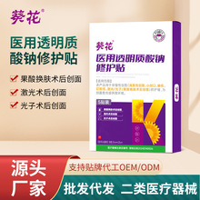 �����t��͸���|���c���o�N����Q�w��������g���沿�o������N