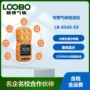 便携式吸式可燃气测试仪