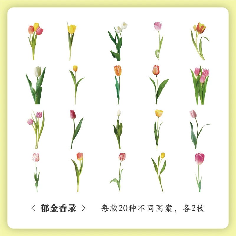 Sticker Set, 40-Sheet Assortment, Butterfly & Floral Designs for Kids' Bags and Planners