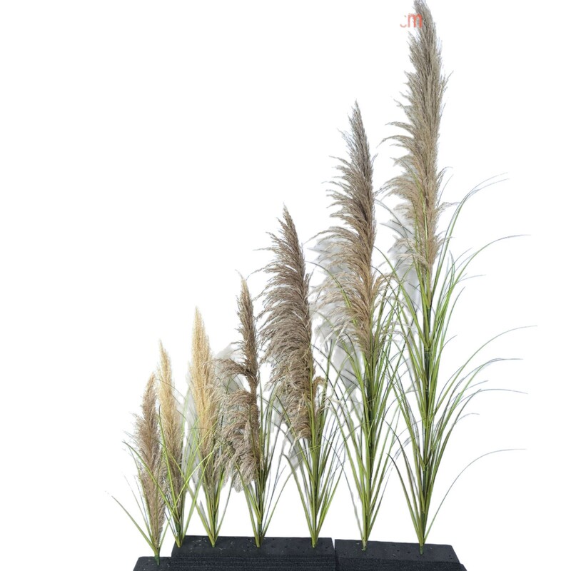 葦天然乾花偽草室内緑植造景北欧ins風偽植物景観置物ショーウインドー生け花|undefined