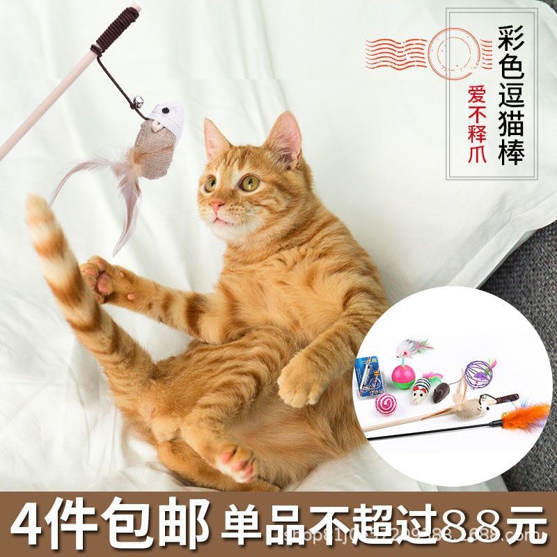 Juguete para gatos, hada divertida, palo para gatos, plumas, papel para gatos, campanas, juego interactivo para gatos, juguetes para gatos, suministros para gatos