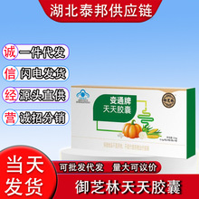 ��֥��׃ͨ�������z��9��/27��/60��/120���F؛һ�����l