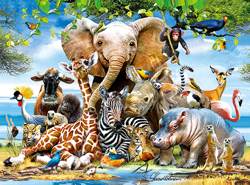 动物编号999032 GIF