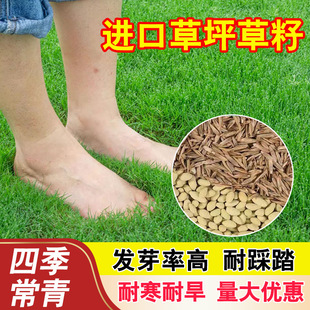 ��ƺ�N���ļ���G�����ѹ��̲�ƺ�N���o�²��Ѻ����ݹ�����߅��