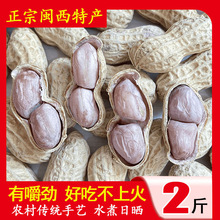 【新龙岩花生】水煮花生龙岩花生蒜香花生咸脆花生生花生米零食