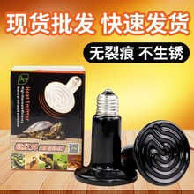 宠物鹦鹉陶瓷加热灯保暖灯蜥蜴取暖器防咬防烫网爬虫保温灯灯罩